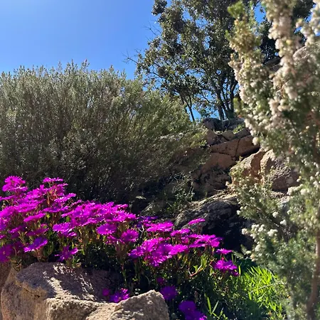 Casa Di Paoli Апарт-отель 3*