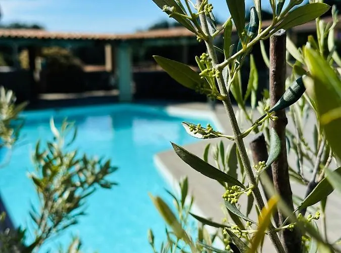 Appart hôtel Casa Di Paoli 3*