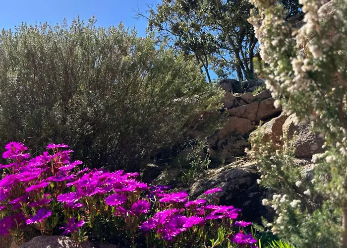 Casa Di Paoli Aparthotel 3*